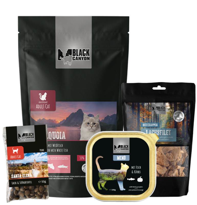 BLACK CANYON "Aktionspaket cat Mix Fisch"