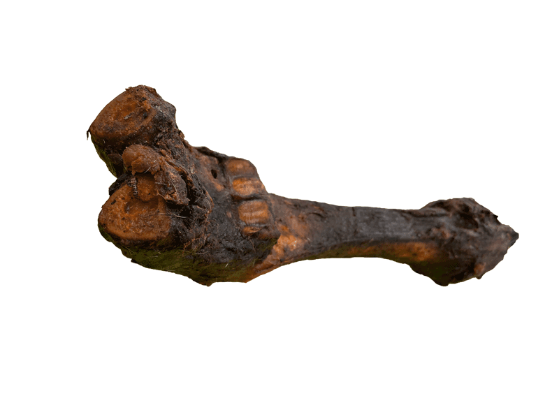 BLACK CANYON "Rinder-Unterbein" ca. 800 g