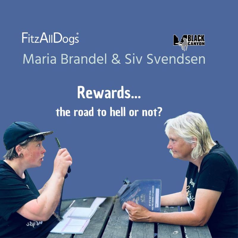 Ticket Maria Brandel & Siv Svendsen Zoom event